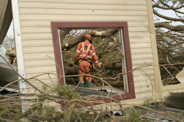 Trusted Beaver, UT Tree Care Services Experts